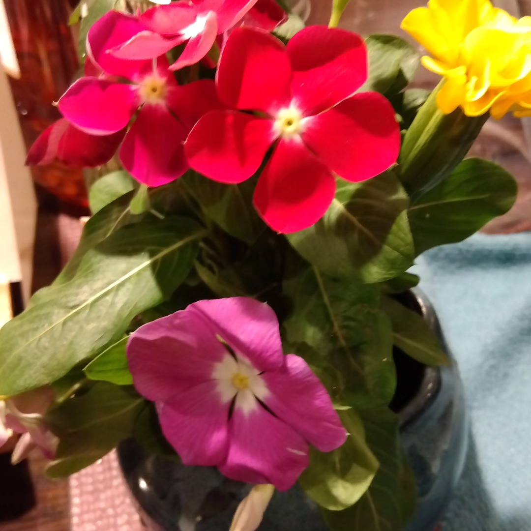 test